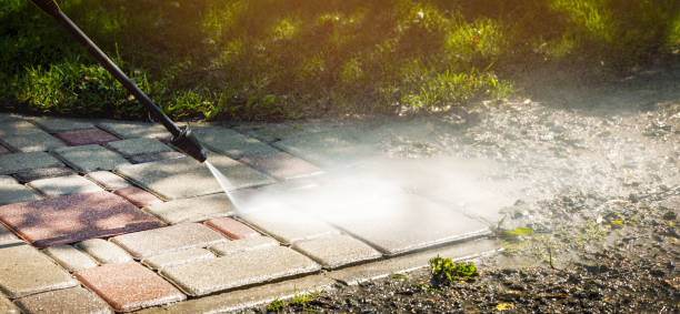 Best Roof Washing  in Waverly, MN